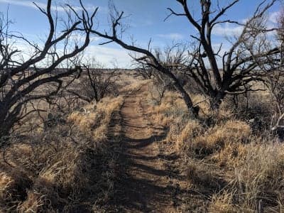 San Angelo State Park