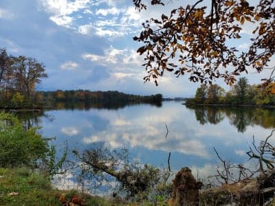 Sangchris Lake State Recreation Area