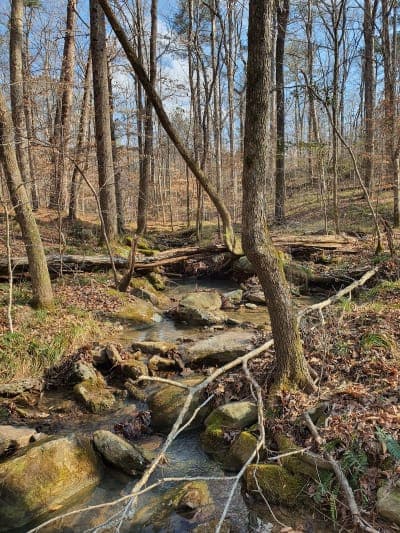 Sandstone Multiple-Use Trail