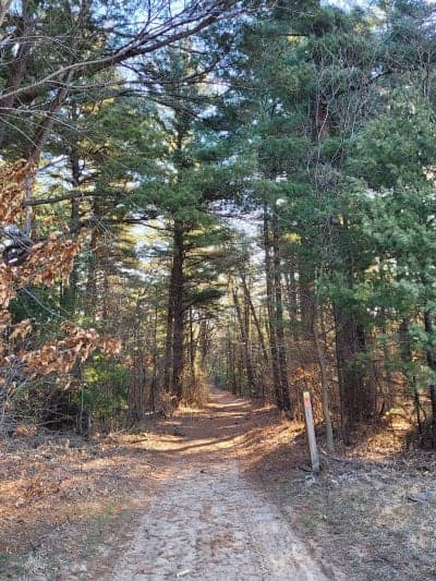 Sand Ridge State Forest