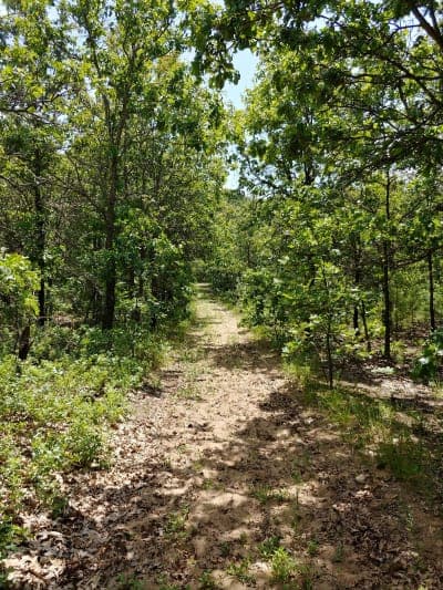 Sand Ridge State Forest