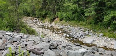 Savoy Mountain State Forest