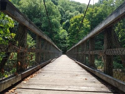 Savage River State Forest