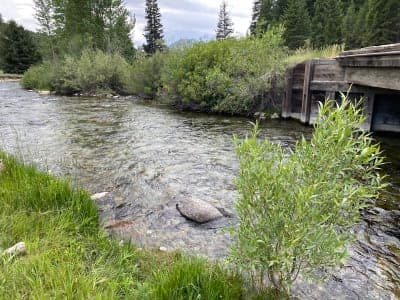 Sawtooth National Recreation Area Trail System