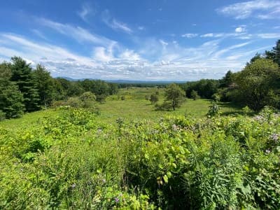 Saratoga National Historical Park