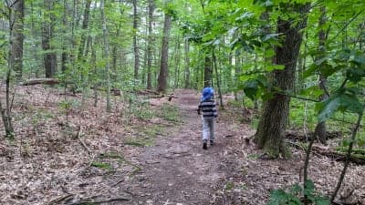 Scantic River State Park