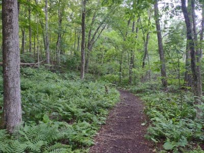 Scantic River State Park