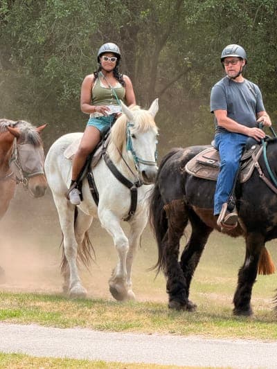 Sea Pines Forest Preserve / Lawton Stables