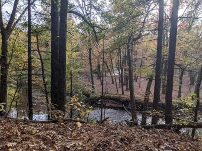 Scantic River State Park