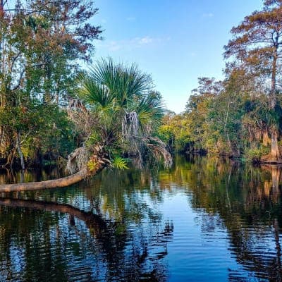 Seminole State Forest