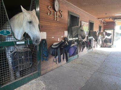Seaton Hackney Stables / Loantaka Brook Reservation