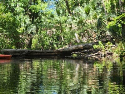 Seminole State Forest