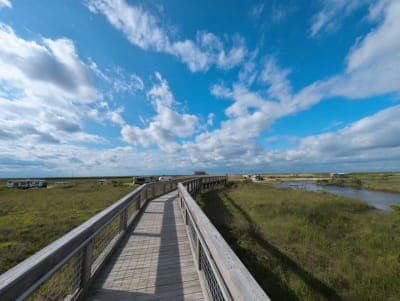 Sea Rim State Park