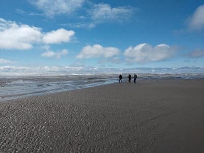 Seashore Conservation Area