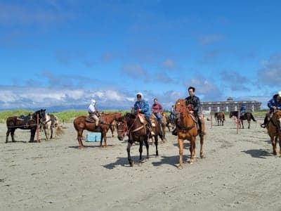 Seashore Conservation Area
