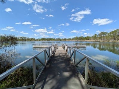 Seminole State Forest