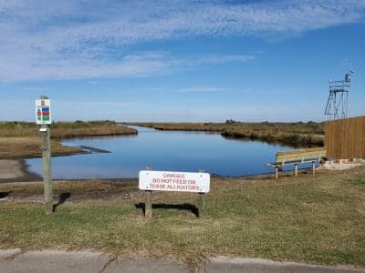 Sea Rim State Park