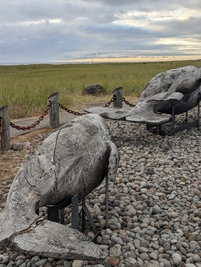 Seashore Conservation Area