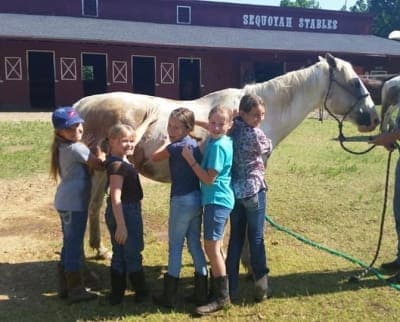 Sequoyah State Park & Sequoyah Riding Stables