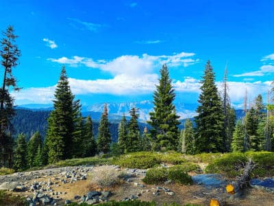 Sequoia National Forest