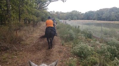 Sequoyah State Park & Sequoyah Riding Stables