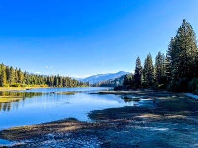 Sequoia National Forest