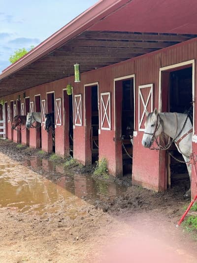 Sequoyah State Park & Sequoyah Riding Stables
