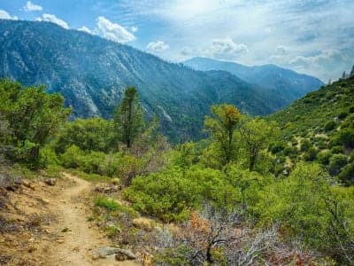 Sequoia National Forest