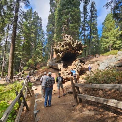 Sequoia & Kings Canyon National Parks