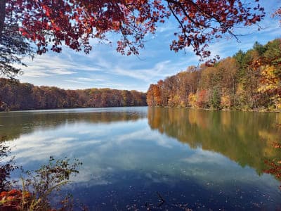 Seneca Creek State Park