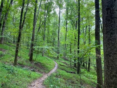 Seneca Creek State Park