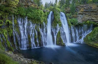 Shasta-Trinity National Forest