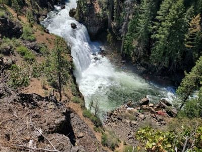 Shasta-Trinity National Forest