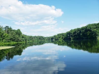 Shakamak State Park