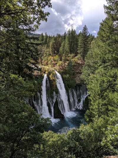 Shasta-Trinity National Forest