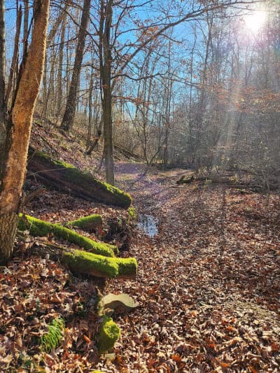 Shawnee State Park