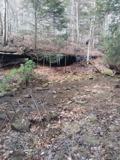 Shawnee State Forest