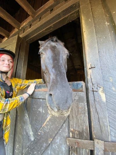 Shenandoah National Park / Skyland Stables