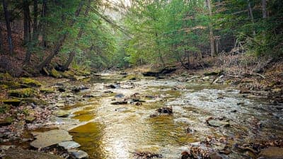 Shawnee State Park