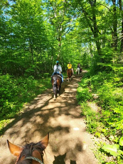 Shenandoah National Park / Skyland Stables