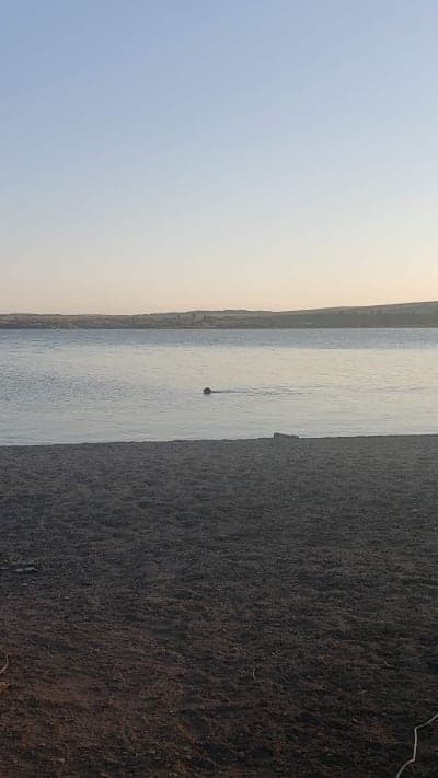 Sheps Canyon Recreation Area