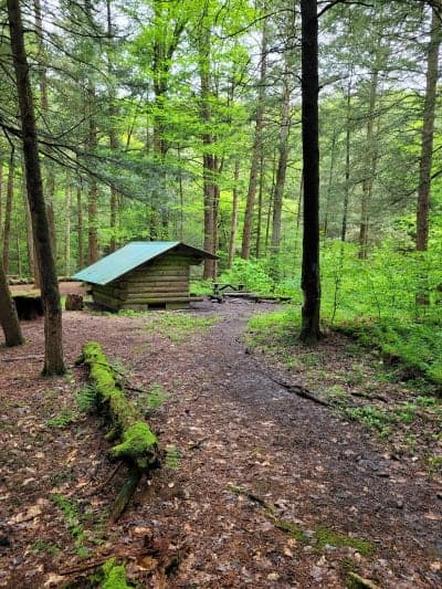 Shindagin Hollow State Forest