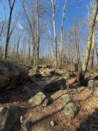 Shenipsit State Forest