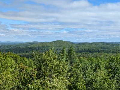 Shenipsit State Forest