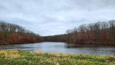 Shimek State Forest