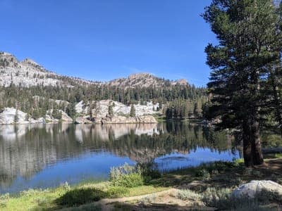 Sierra National Forest