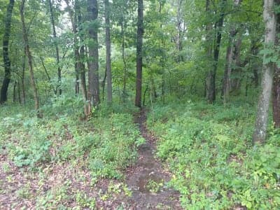 Siloam Springs State Park