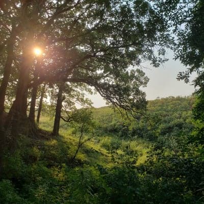 Sica Hollow State Park