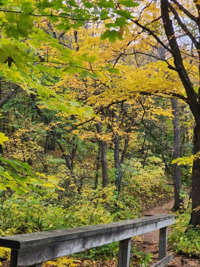 Sica Hollow State Park