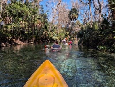 Silver Springs State Park